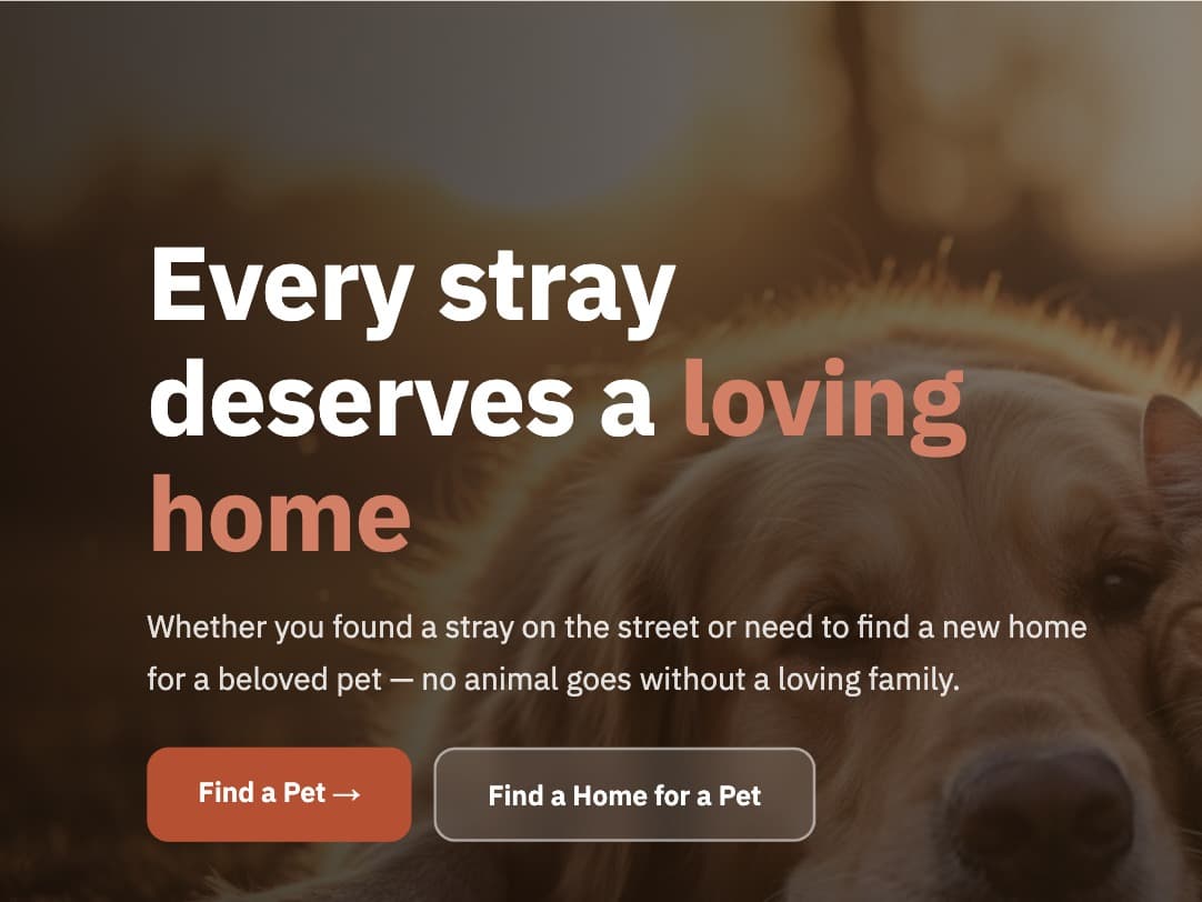 Pawground homepage — “Every stray deserves a loving home”, with a dog and cat resting together